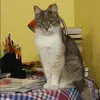 Отзыв от Наталья Дорохова